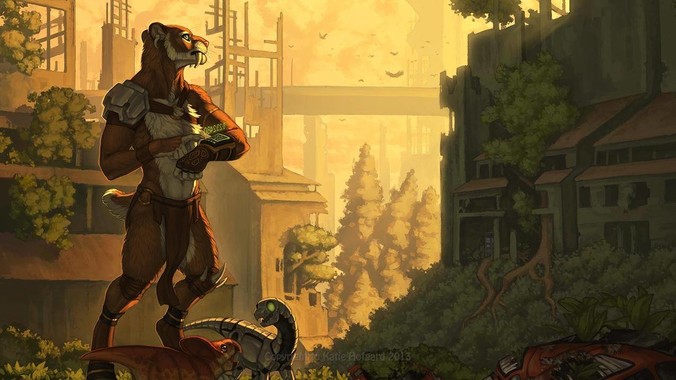 有哪些事情是你去了越南以后才知道的？